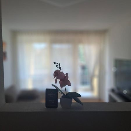 Ferienwohnung Shirin Rust Eksteriør bilde