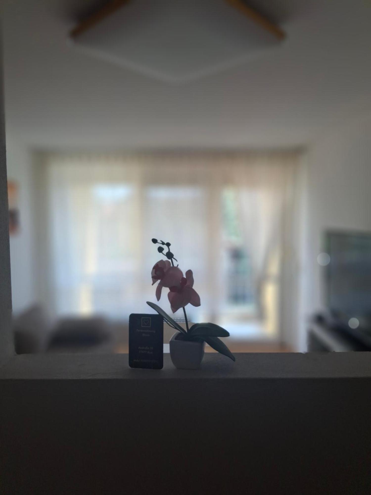 Ferienwohnung Shirin Rust Eksteriør bilde